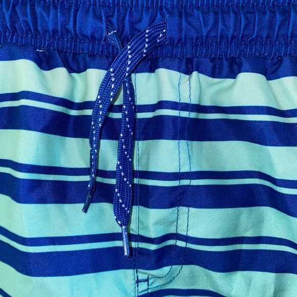 EUC Boys Size Large, Sea-Life Co. Blue Ombre & Stripes & Mesh Liner Swim Trunks - Picture 5 of 9